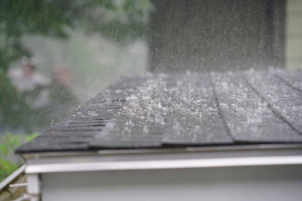 Best Roof Coating and Sealing  in South Lyon, MI