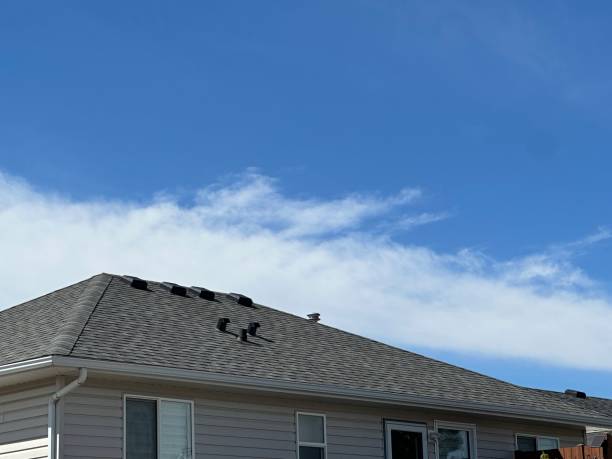 Best Steel Roofing  in South Lyon, MI